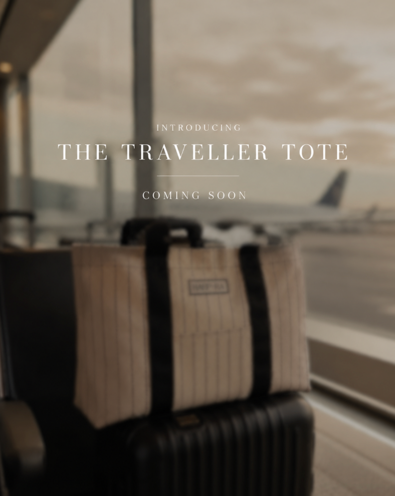 Meet The Traveller